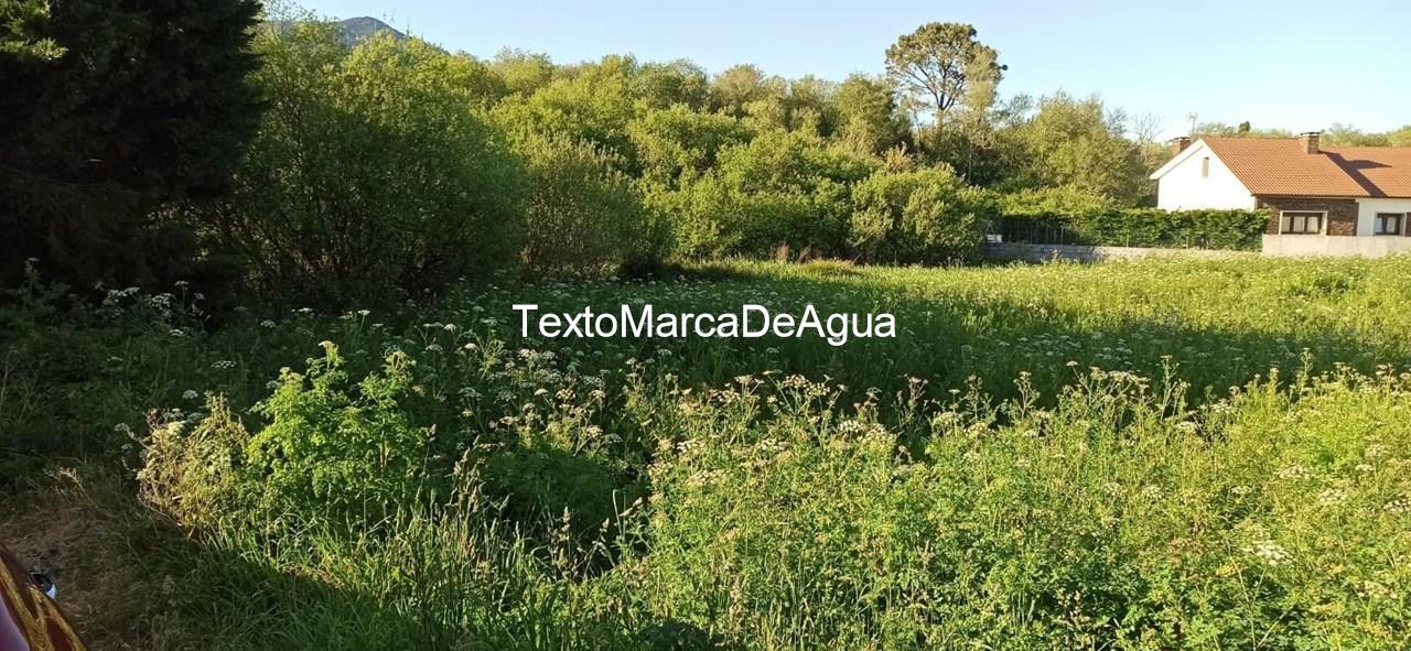 Foto 11 Se vende Finca Edificable en Pobra do Caramiñal