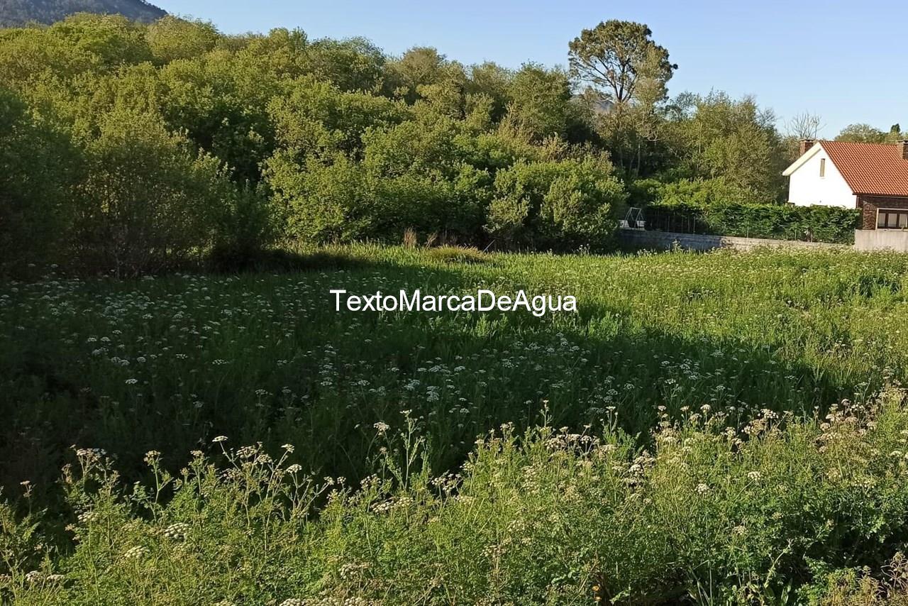 Foto 7 Se vende Finca Edificable en Pobra do Caramiñal